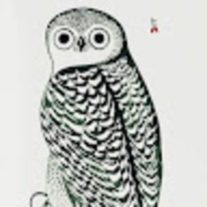 Meet your Posher, Molly